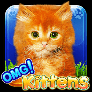 OMG! Kittens